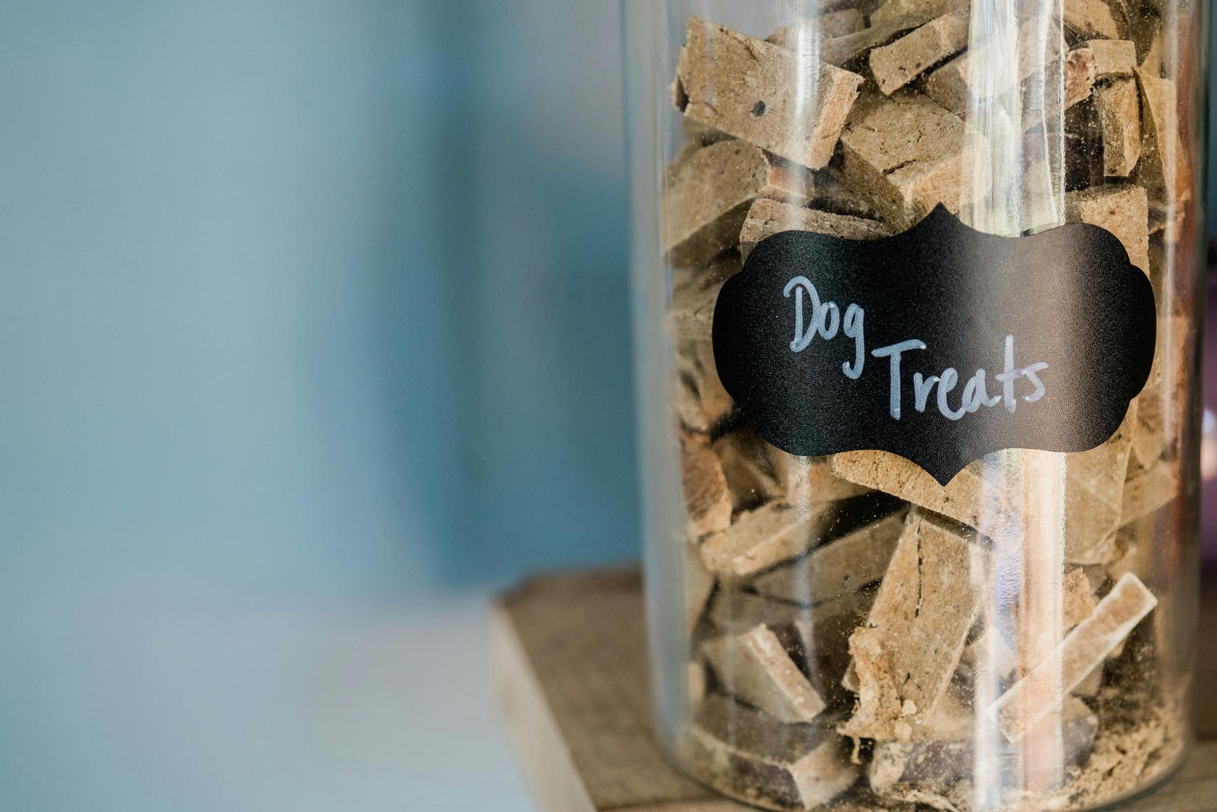 Receitas Fáceis e Saudáveis para Cães: Nutrição e Cuidados para o Seu Pet
