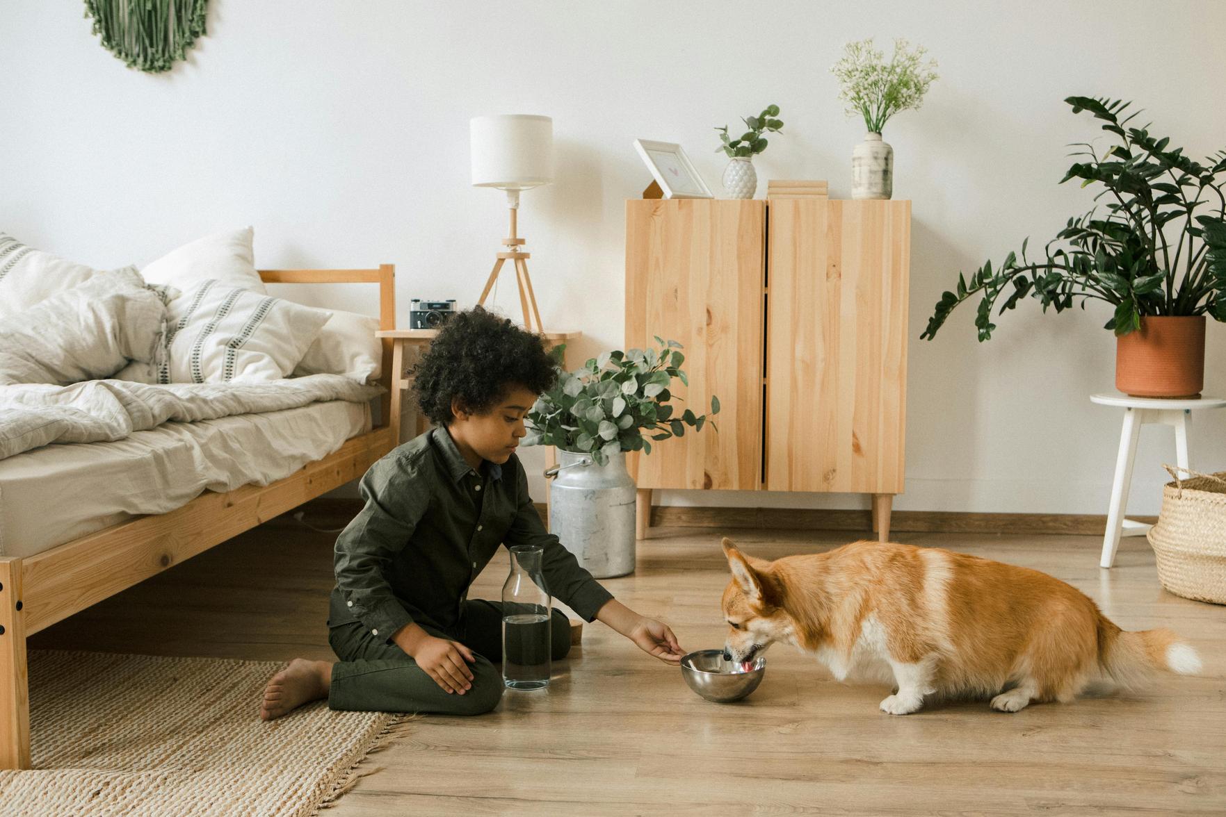 Cuidados Essenciais para Proteger a Saúde de Pets e Crianças