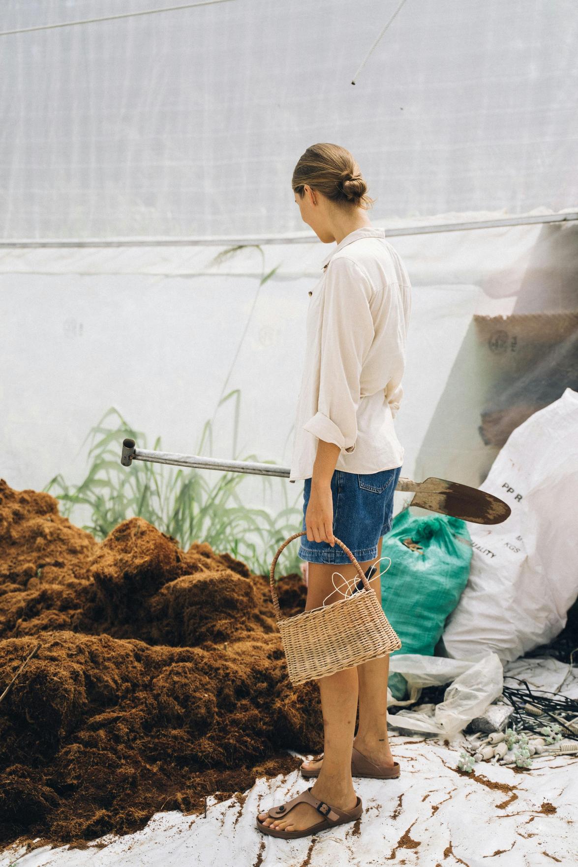 Como Escolher o Melhor Motocultivador para Cultivar Alimentos Saudáveis e Sustentáveis