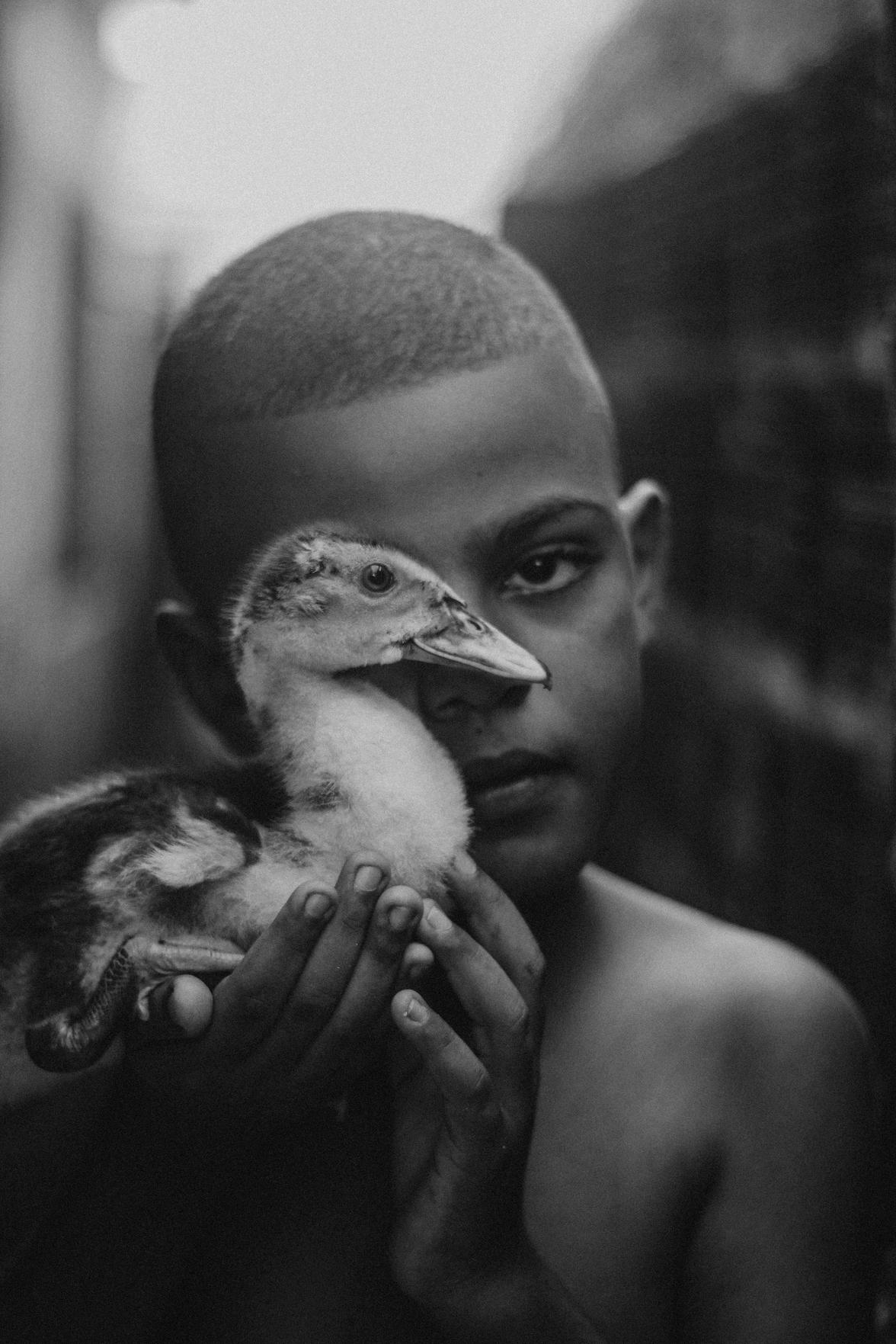Responsabilidade Familiar com Pets: Direitos e Cuidados para Proteger sua Família e Animais de Estimação