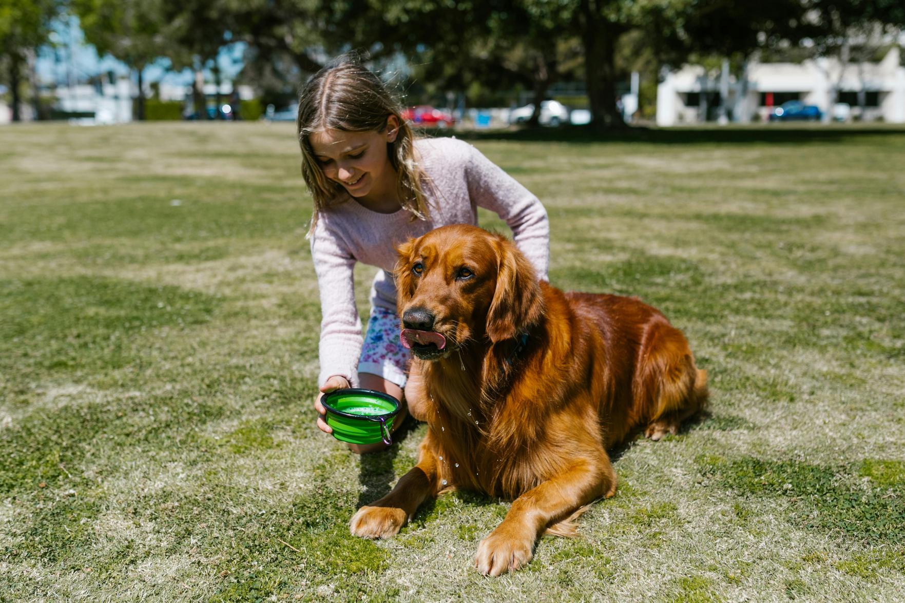 Os Melhores Pets para Crianças em Osasco: Dicas de Cuidados e Segurança