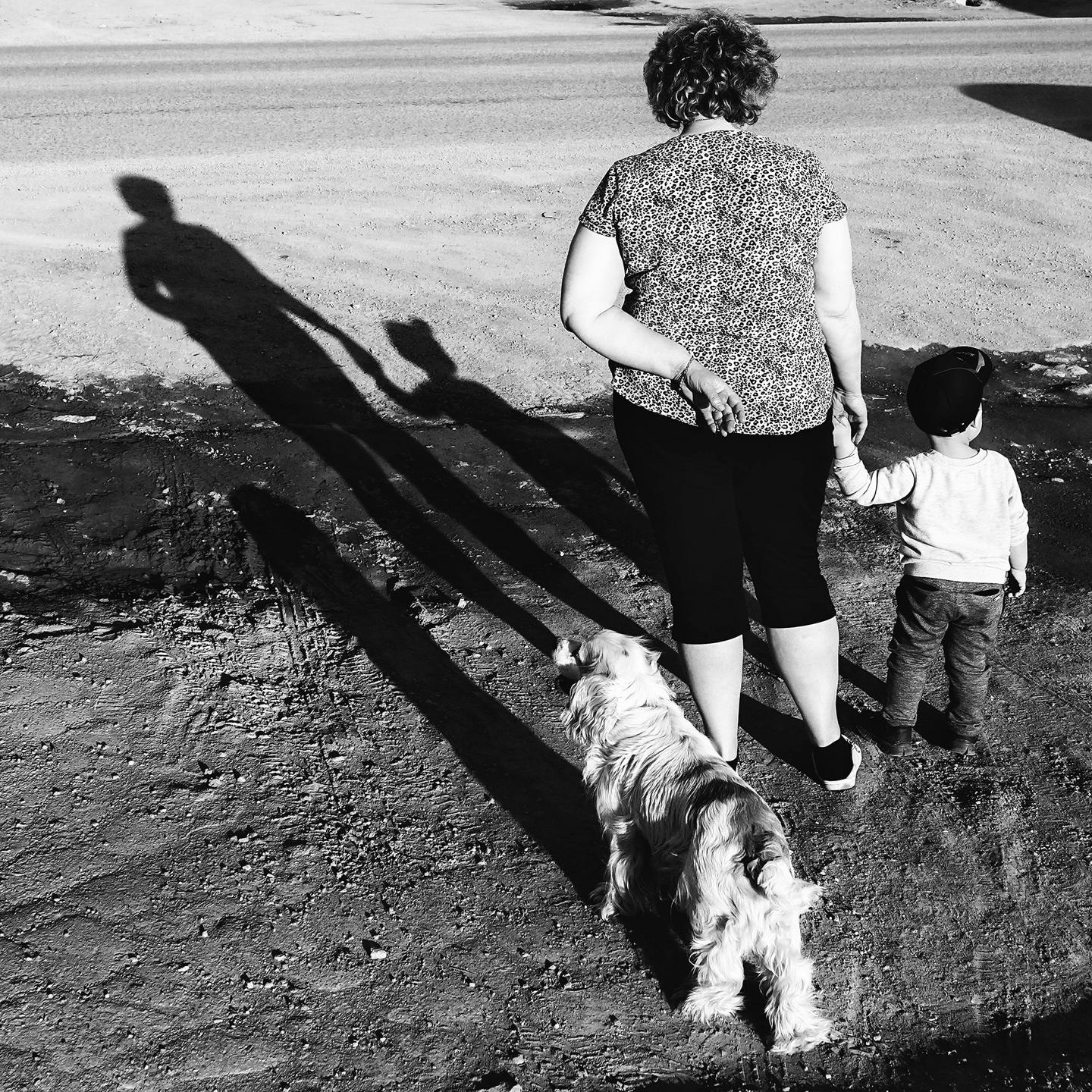 Convivência saudável entre pets e crianças: direitos e responsabilidades do tutor