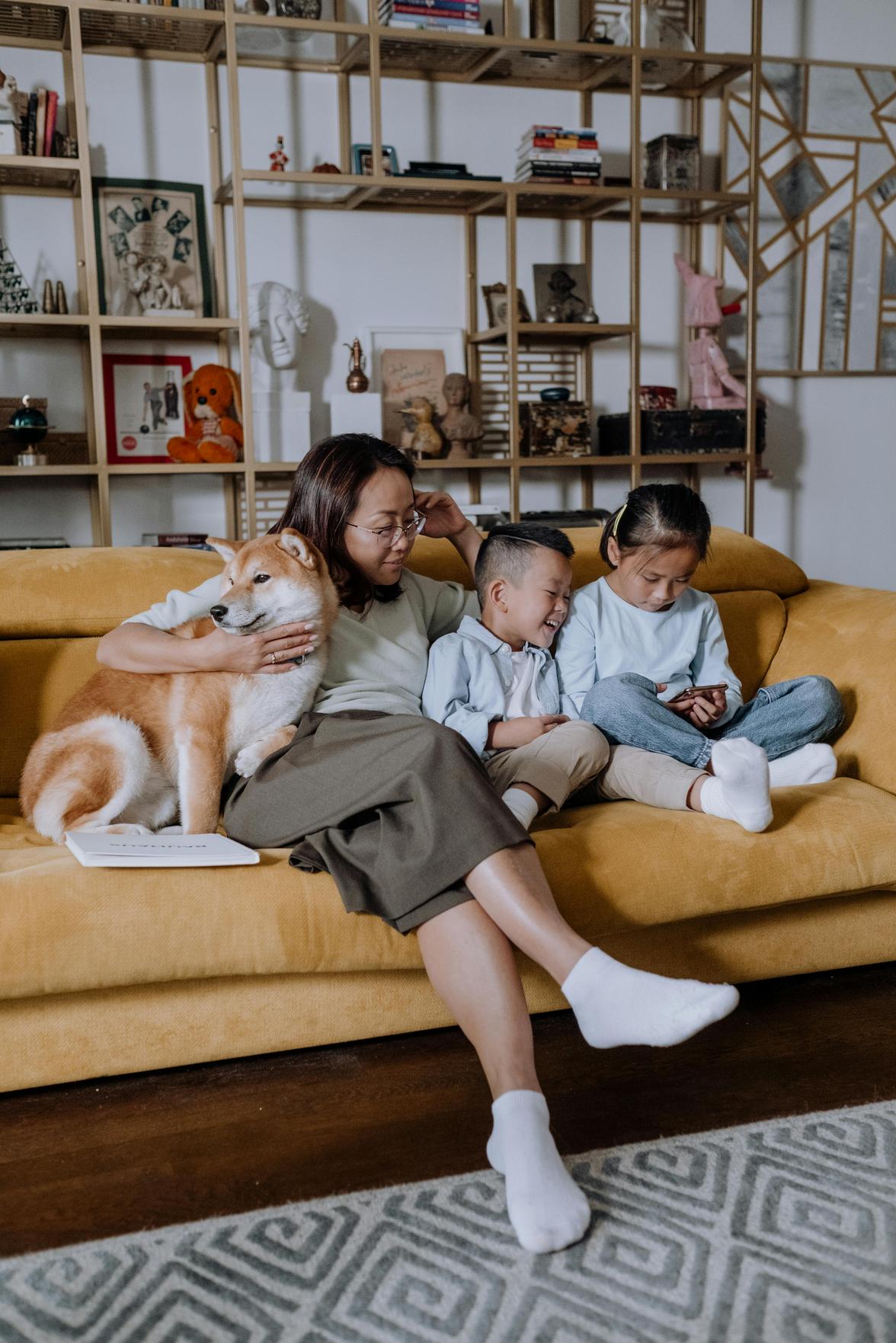 Melhores Acessórios Multifuncionais para Pets e Crianças: Dicas para uma Família Prática e Segura