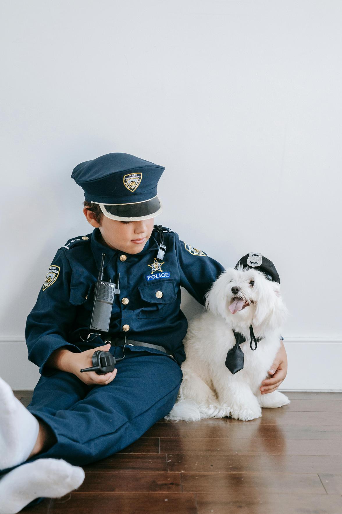 Dicas de Segurança para Proteger seus Pets e Filhos em Casa