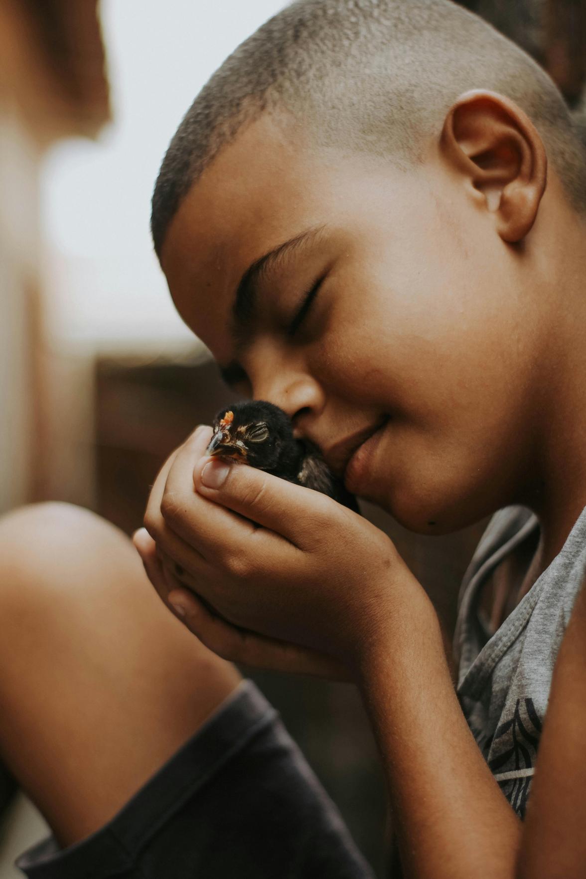 Protegendo os Direitos dos Pets: Um Guia Legal para Famílias Modernas e a Saúde das Crianças