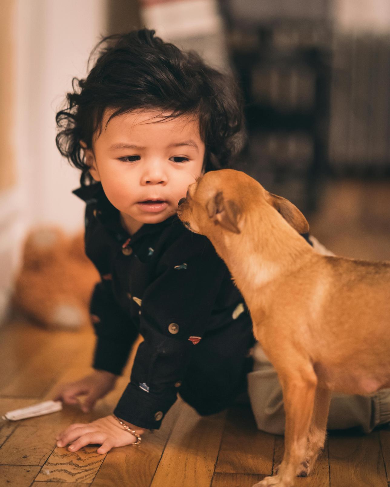 Protegendo os Direitos dos Pets: Garantindo Saúde e Bem-Estar para Famílias e Crianças