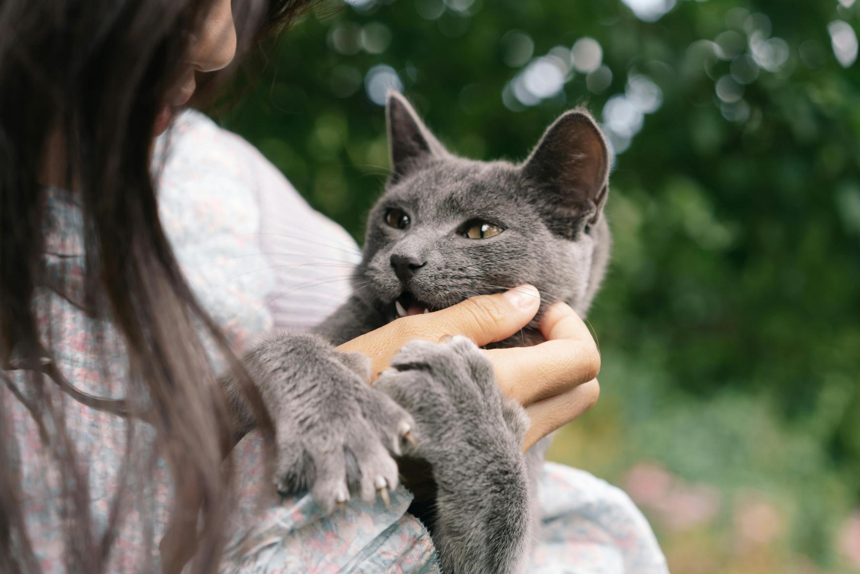 Cuidados Essenciais para Garantir os Direitos dos Pets e a Saúde Infantil