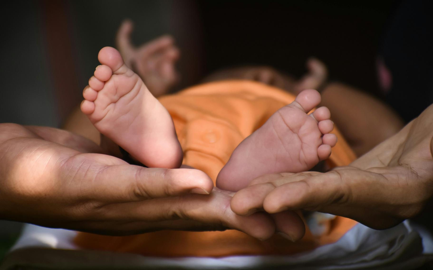 Protegendo Crianças e Animais: Um Guia Prático para Famílias e Seus Direitos