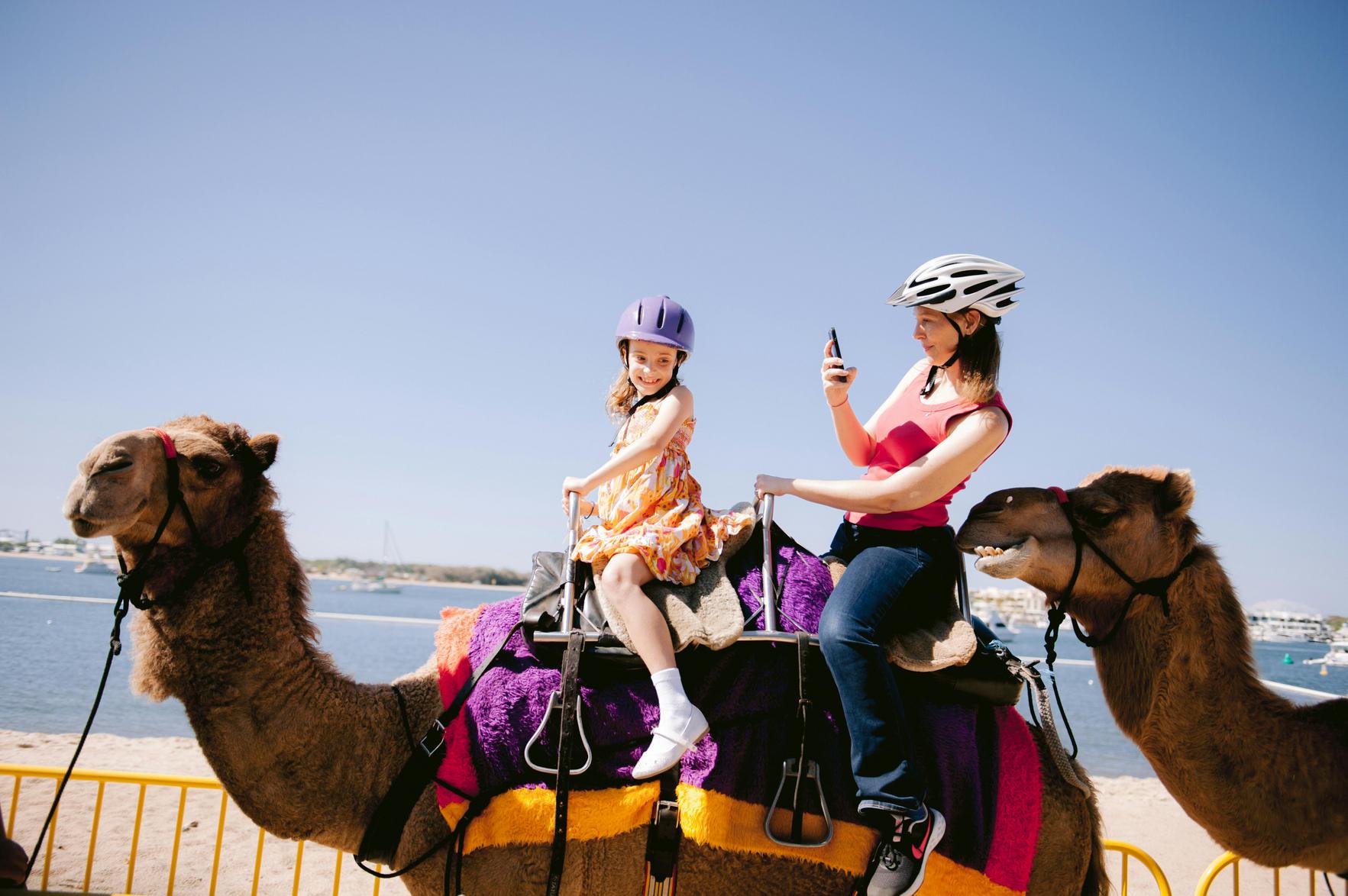 Dicas de viagem com pets e crianças em Porto Seguro: transporte seguro e passeios pet friendly