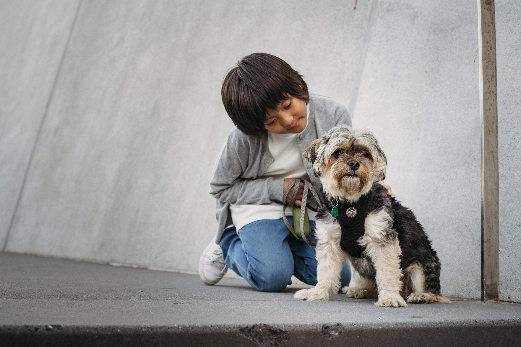 Melhores Animais de Estimação para Crianças: Como Escolher o Pet Perfeito para a Saúde e Felicidade dos Pequenos