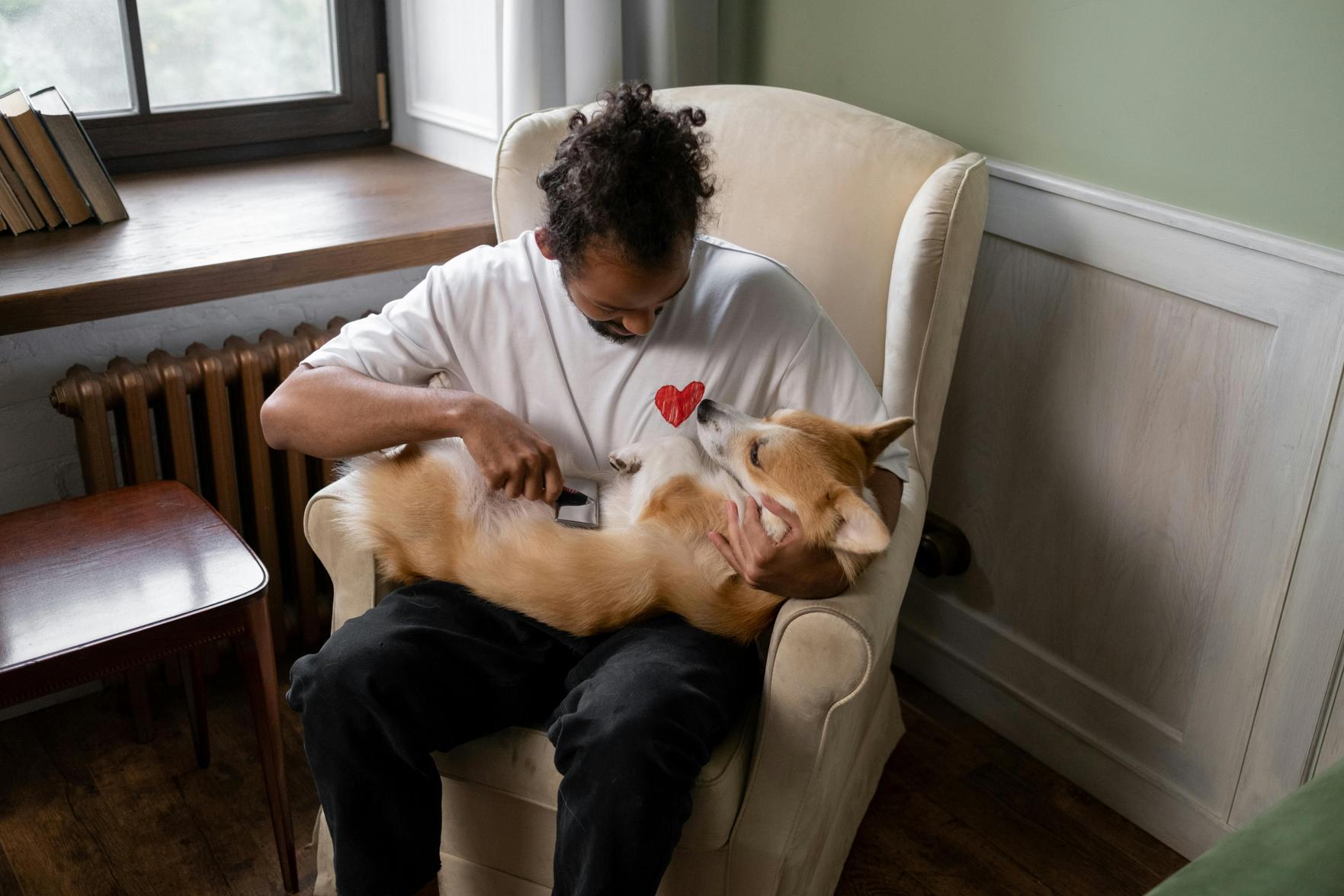 Cuidados especiais com a higiene e saúde de bebês e pets: dicas essenciais para a família