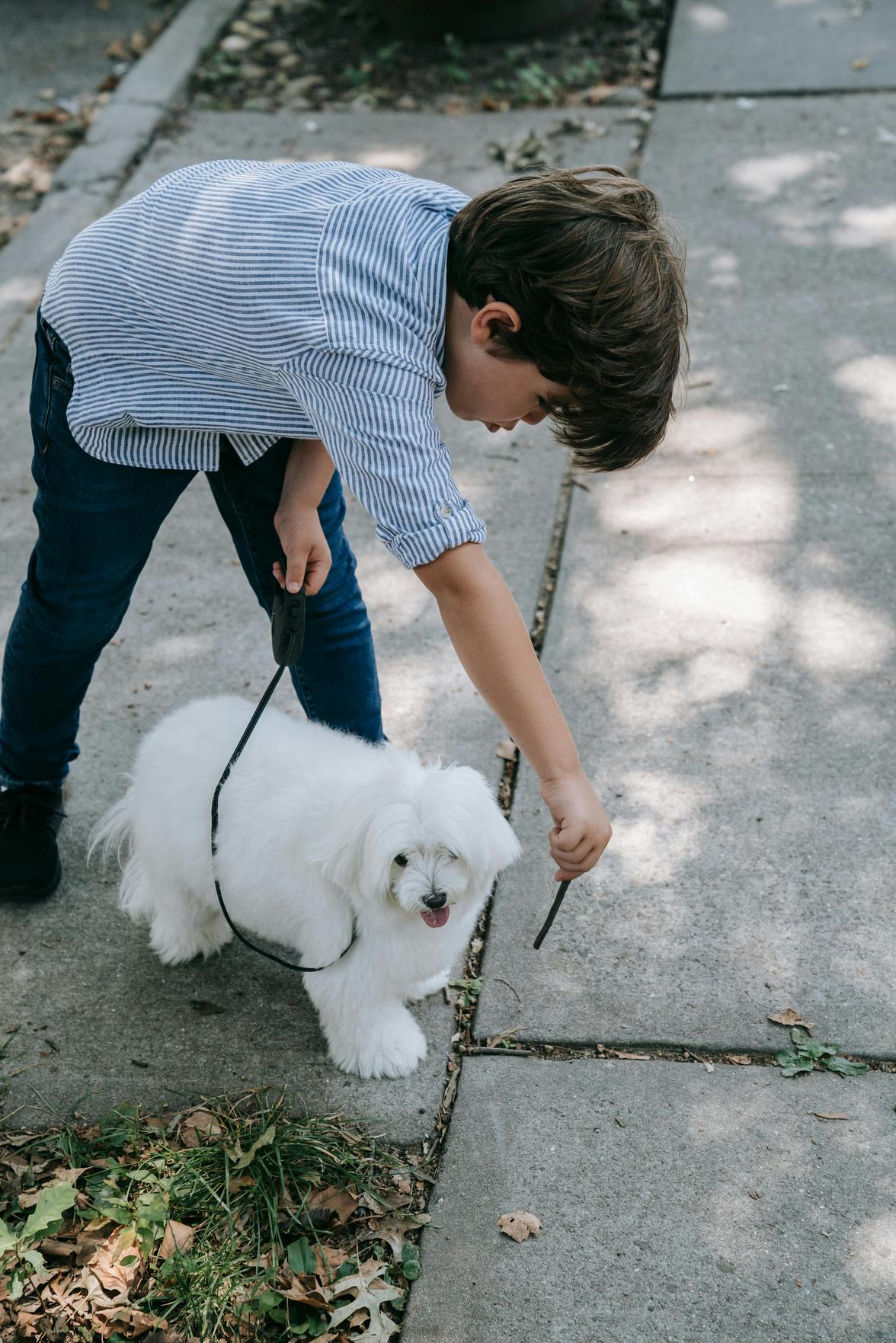 Dicas de Cuidados Saudáveis para Pets e Crianças: Segurança e Educação em Foco