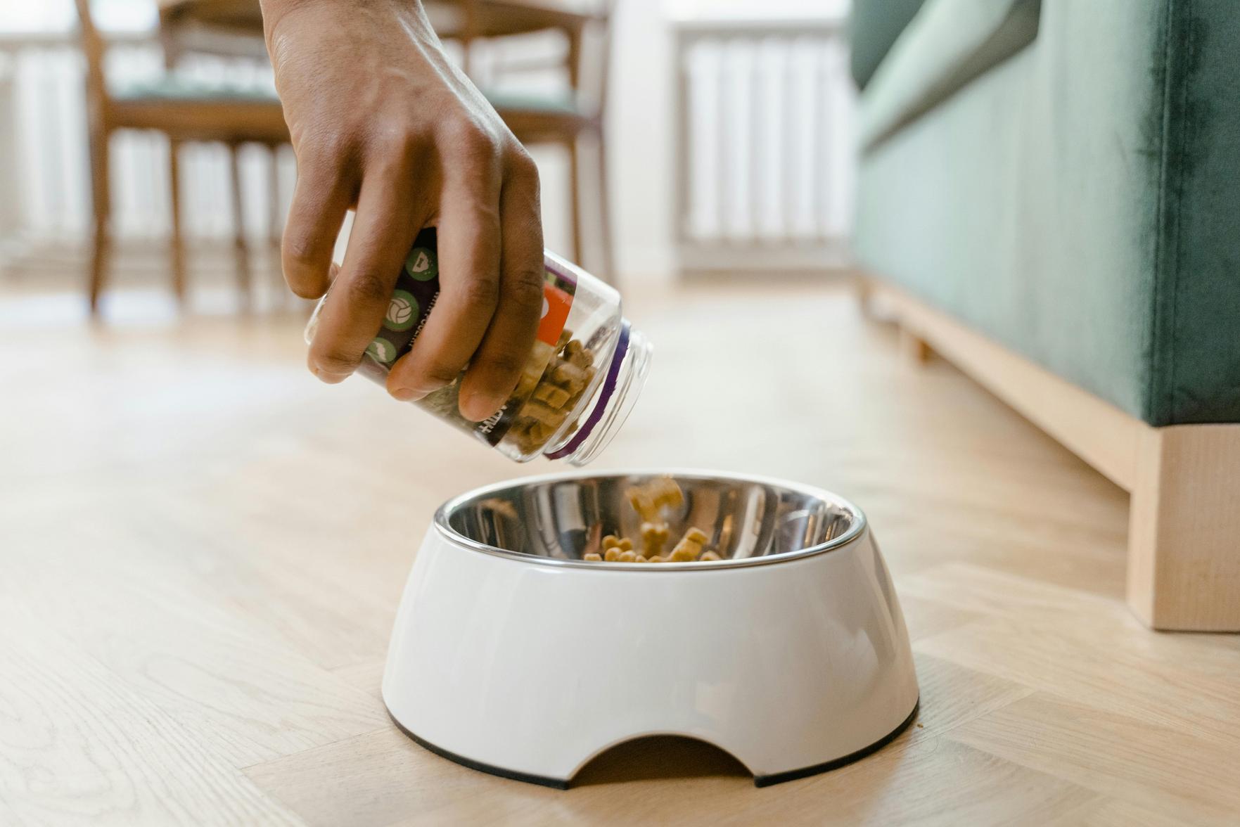 Saúde e Higiene de Pets: Dicas Essenciais para Manter seu Amigo Saudável em uma Casa Limpa