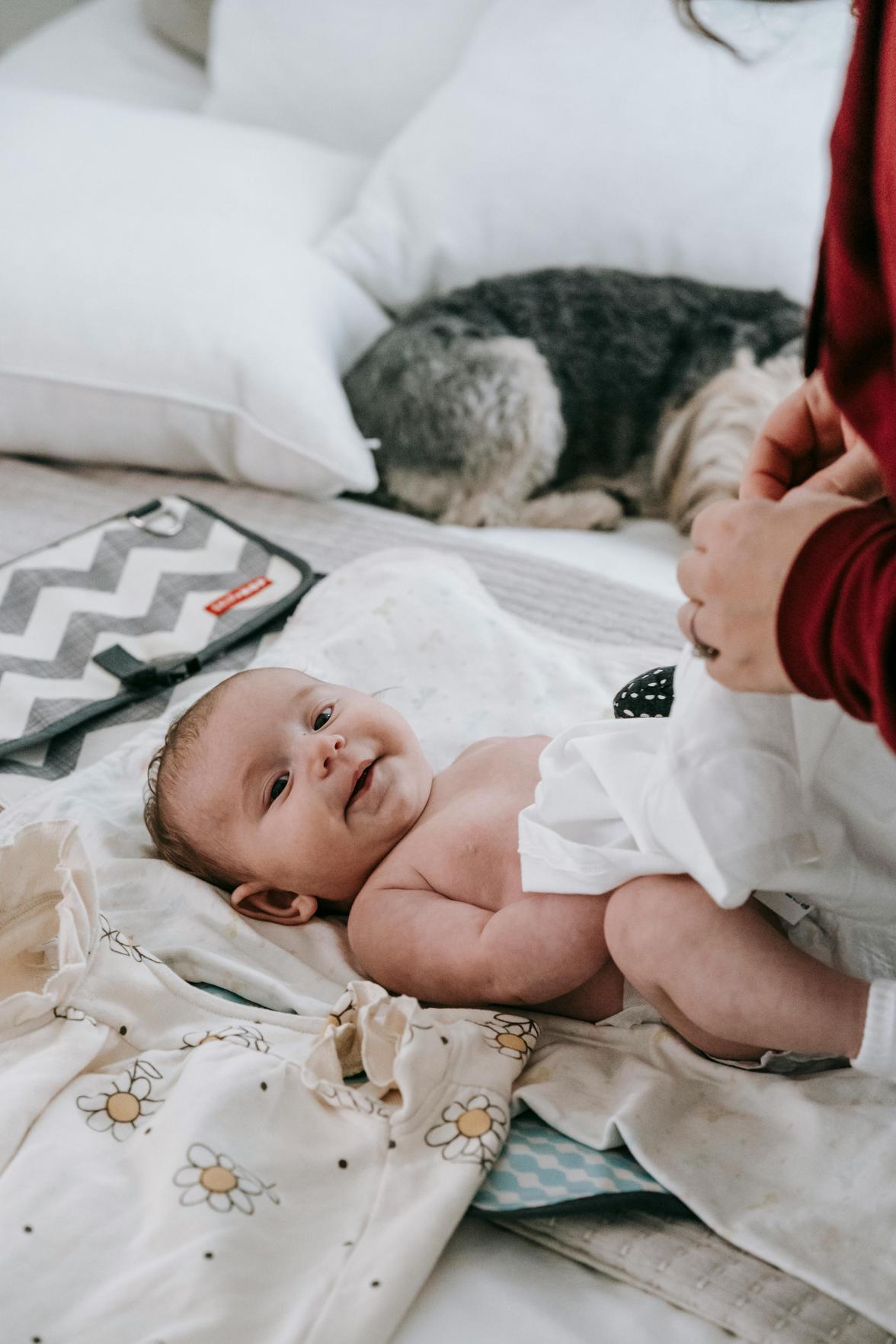 Como Escolher o Pet Ideal para sua Família Moderna: Dicas Essenciais e Cuidados com Filhotes
