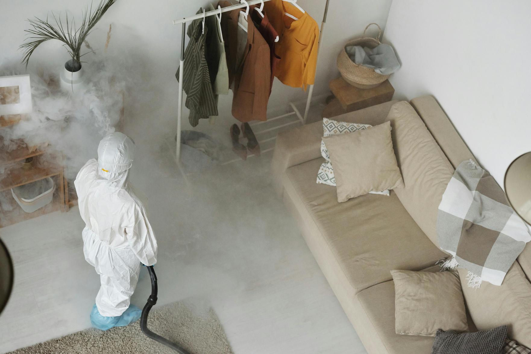 Protegendo sua Família em Casa: Dicas de Prevenção de Pragas e Manutenção Residencial para um Ambiente Saudável
