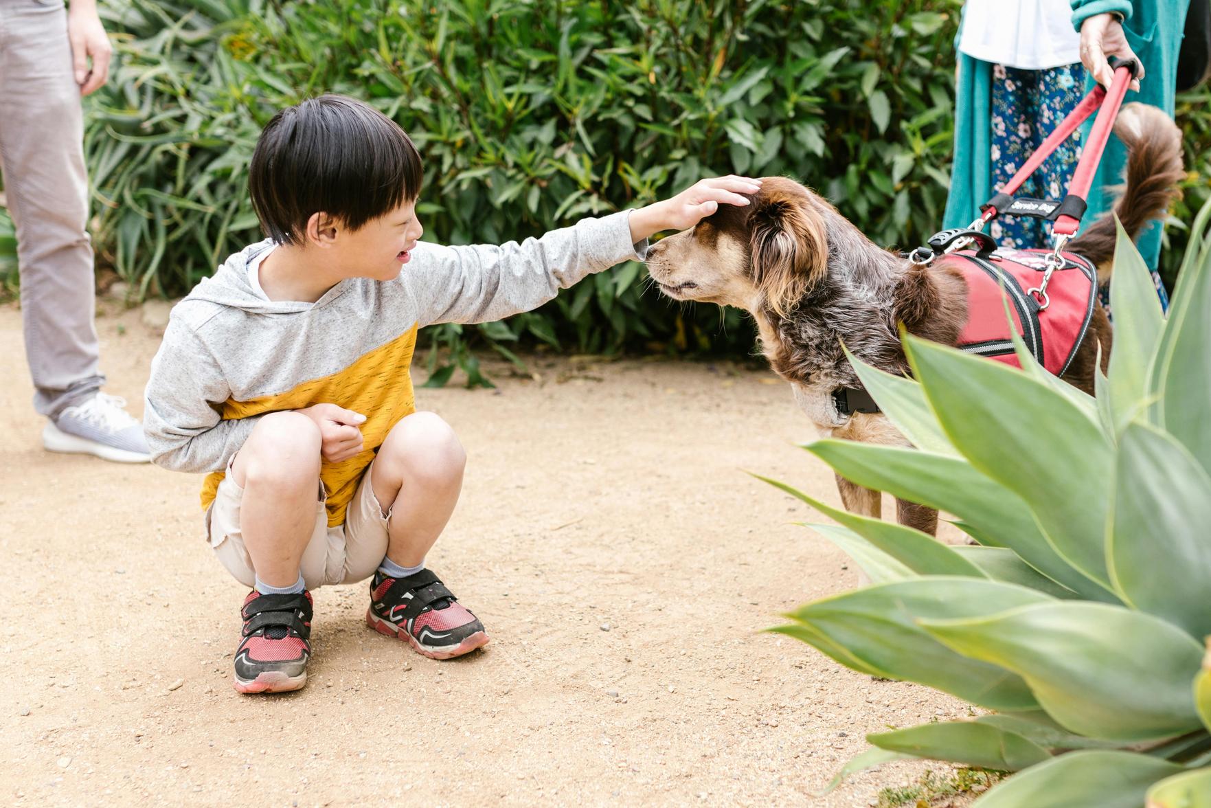 Dicas Essenciais para Cuidar da Saúde e Bem-Estar de Pets e Crianças Juntos